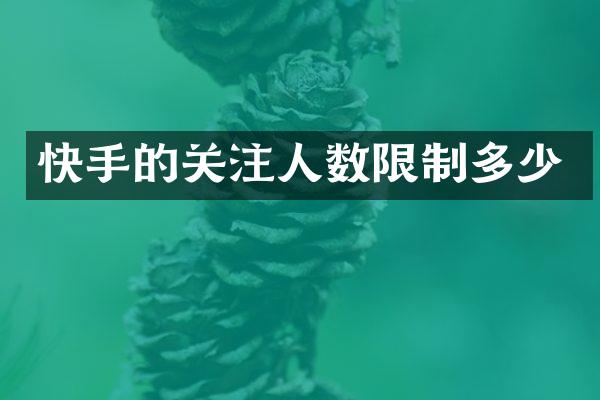 快手的关注人数限制多少