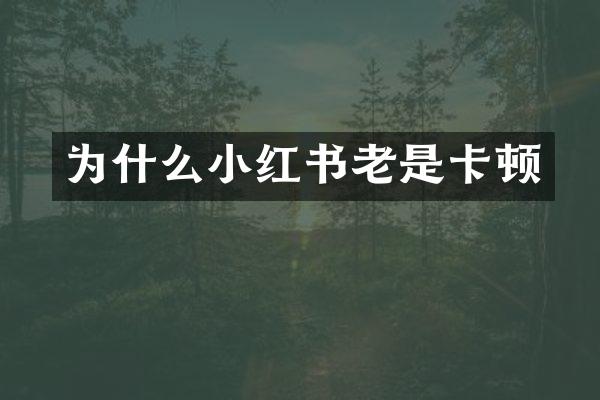 为什么小红书老是卡顿