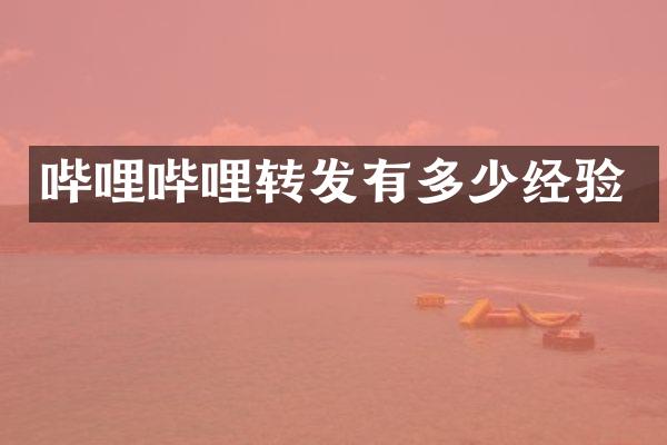 哔哩哔哩转发有多少经验