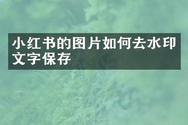 小红书的图片如何去水印文字保存