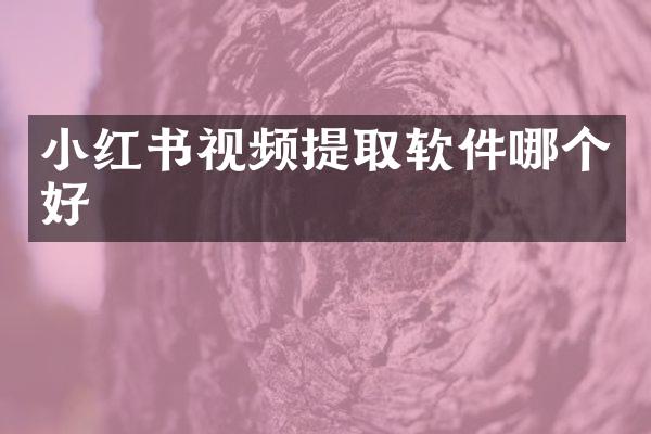 小红书视频提取软件哪个好