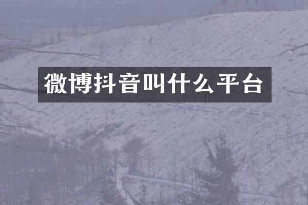 微博抖音叫什么平台