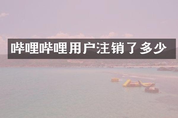 哔哩哔哩用户注销了多少