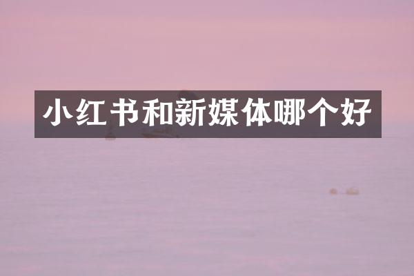小红书和新媒体哪个好
