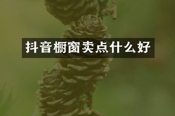 抖音橱窗卖点什么好