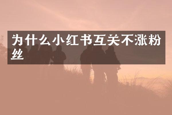 为什么小红书互关不涨粉丝