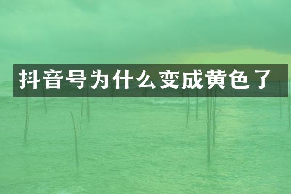 抖音号为什么变成黄色了