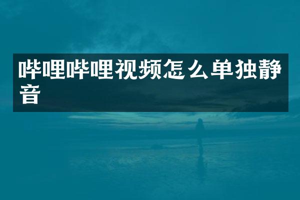哔哩哔哩视频怎么单独静音