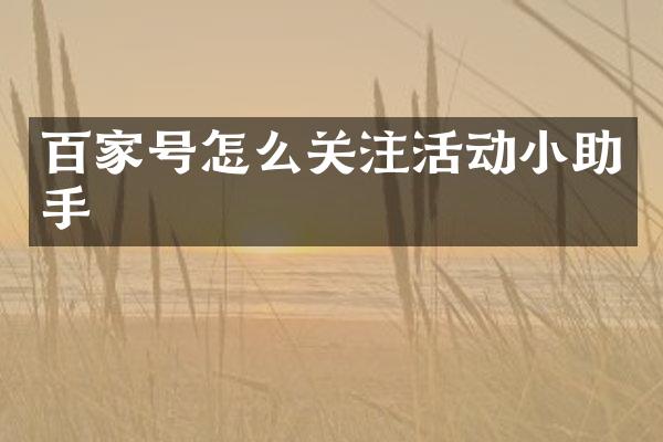 百家号怎么关注活动小助手