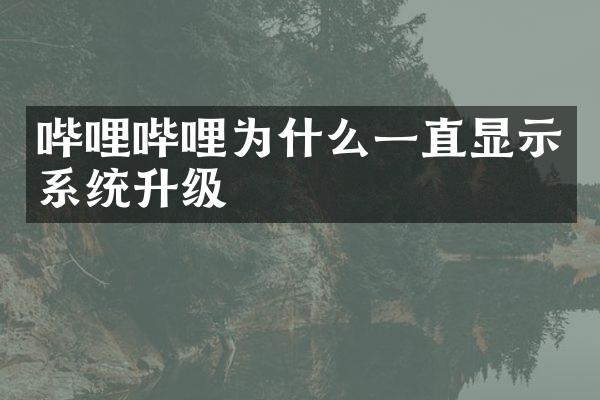 哔哩哔哩为什么一直显示系统升级