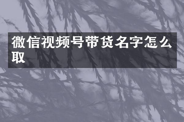 微信视频号带货名字怎么取