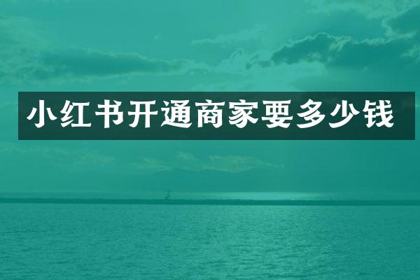 小红书开通商家要多少钱