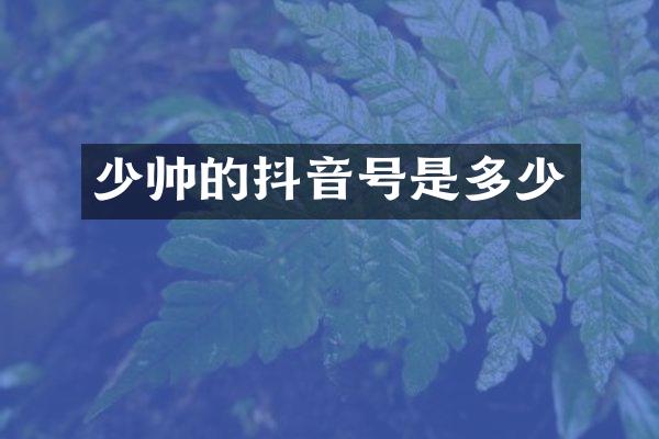 少帅的抖音号是多少