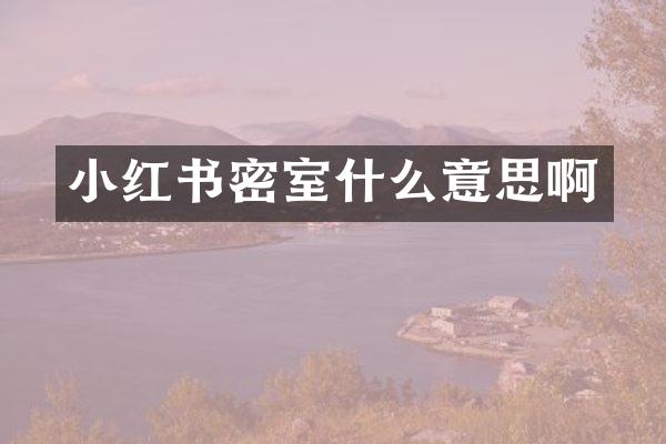小红书密室什么意思啊