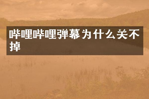 哔哩哔哩弹幕为什么关不掉