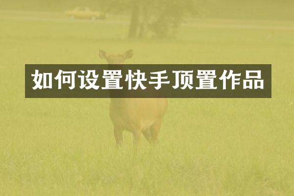 如何设置快手顶置作品