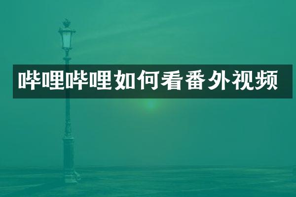 哔哩哔哩如何看番外视频