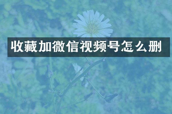 收藏加微信视频号怎么删