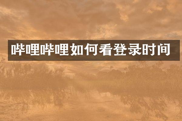 哔哩哔哩如何看登录时间