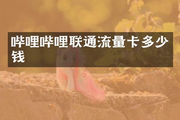 哔哩哔哩联通流量卡多少钱