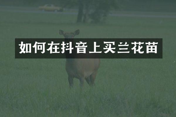 如何在抖音上买兰花苗