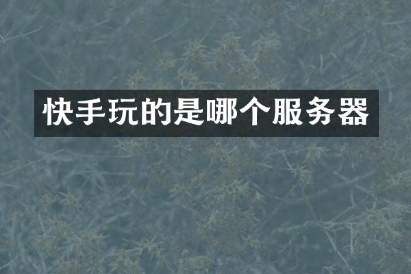 快手玩的是哪个服务器