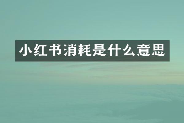 小红书消耗是什么意思