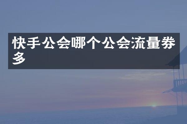 快手公会哪个公会流量券多
