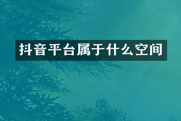 抖音平台属于什么空间