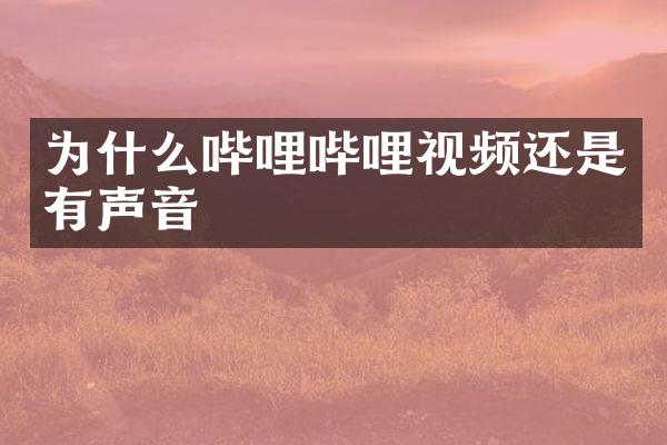 为什么哔哩哔哩视频还是有声音