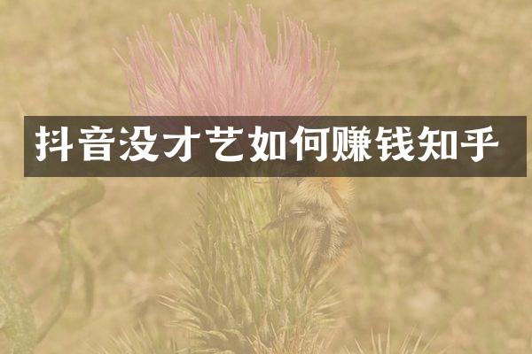 抖音没才艺如何赚钱知乎