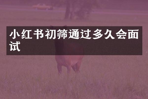 小红书初筛通过多久会面试