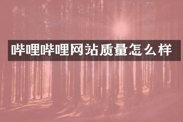 哔哩哔哩网站质量怎么样