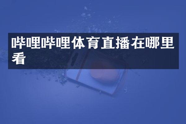 哔哩哔哩体育直播在哪里看