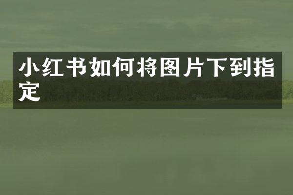小红书如何将图片下到指定