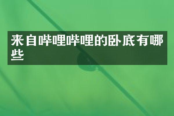 来自哔哩哔哩的卧底有哪些