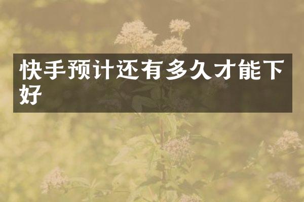 快手预计还有多久才能下好