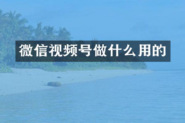 微信视频号做什么用的