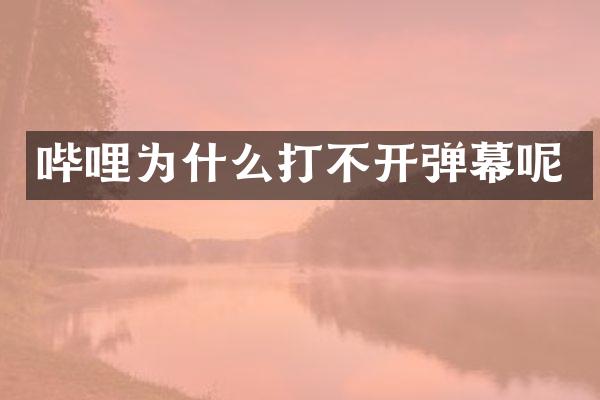 哔哩为什么打不开弹幕呢