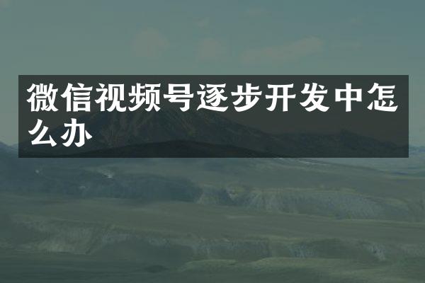 微信视频号逐步开发中怎么办