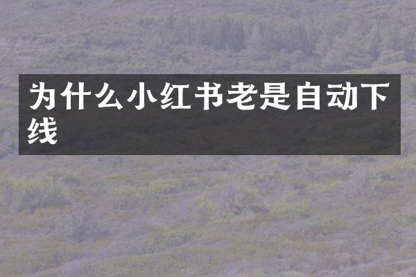 为什么小红书老是自动下线