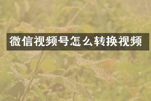 微信视频号怎么转换视频