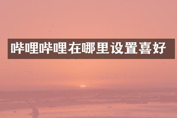 哔哩哔哩在哪里设置喜好