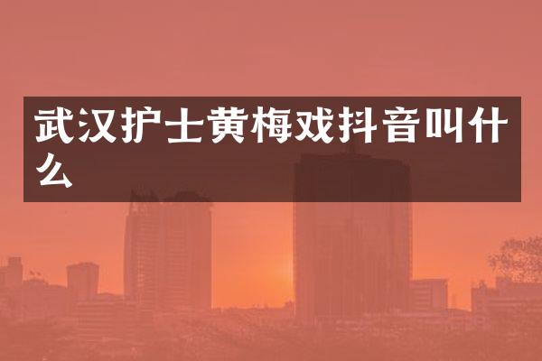 武汉护士黄梅戏抖音叫什么