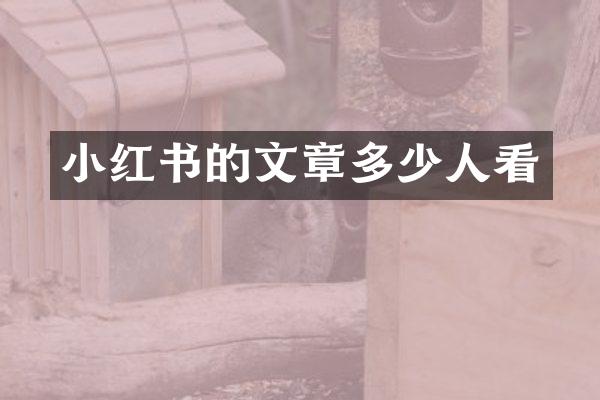 小红书的文章多少人看