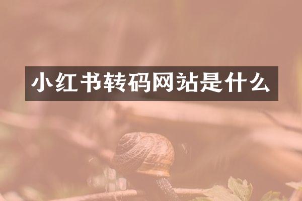 小红书转码网站是什么