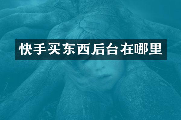 快手买东西后台在哪里