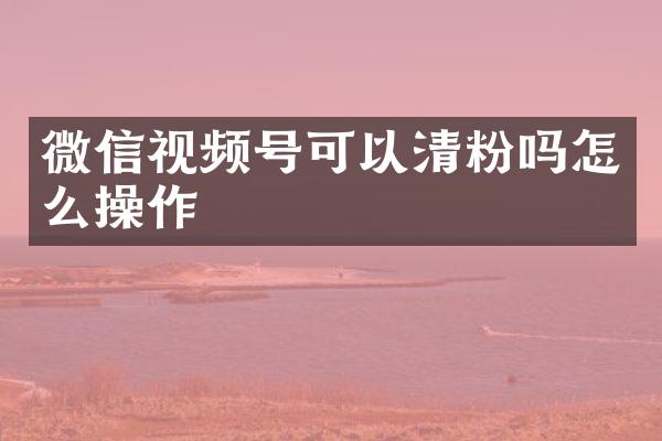 微信视频号可以清粉吗怎么操作