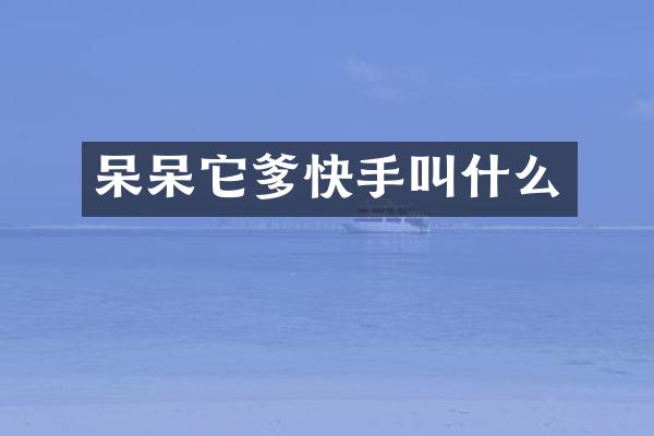 呆呆它爹快手叫什么