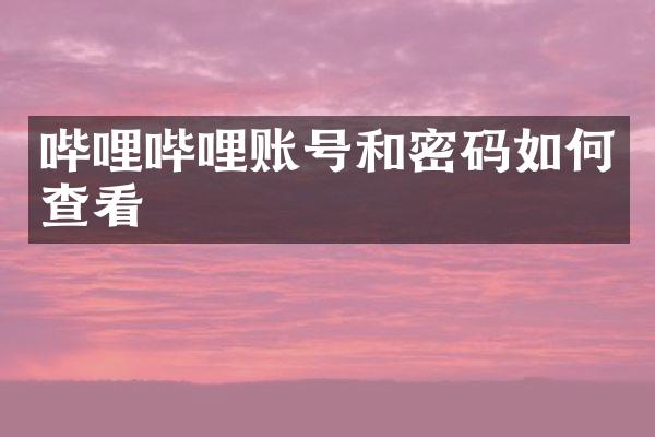 哔哩哔哩账号和密码如何查看